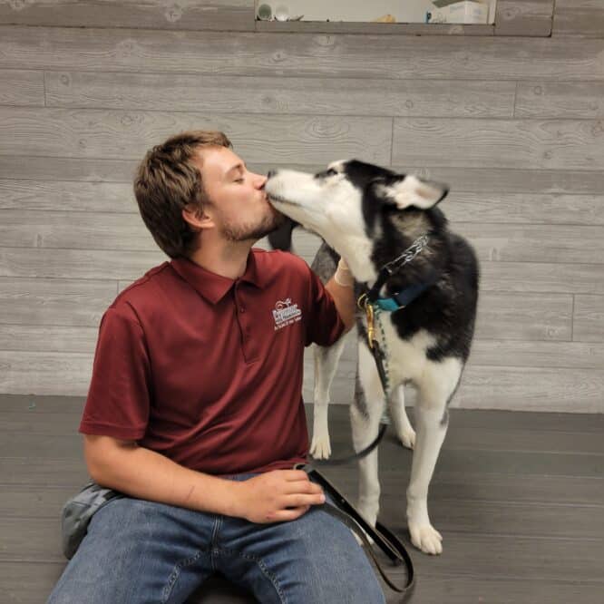 James Premier Dog Training